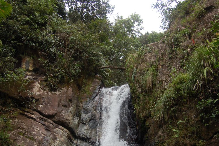 La Mina Falls in El Yunque